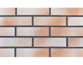 Термопанель Европа БЕРЕЗКА Пепел